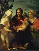 Andrea del Sarto Madonna and child with Sts Catherine and Elizabeth,and St John the Baptist china oil painting reproduction